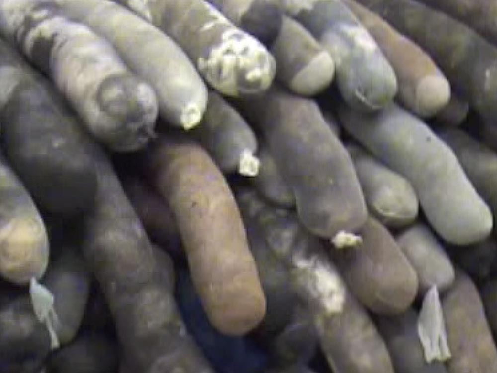 Oil spills absorbed by donated hair booms