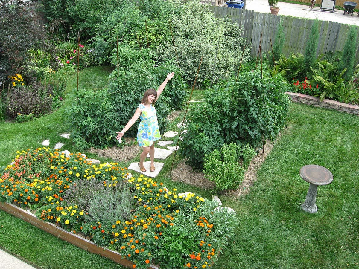 Backyard garden: 6-foot tomato plants, Racine, Wisconsin