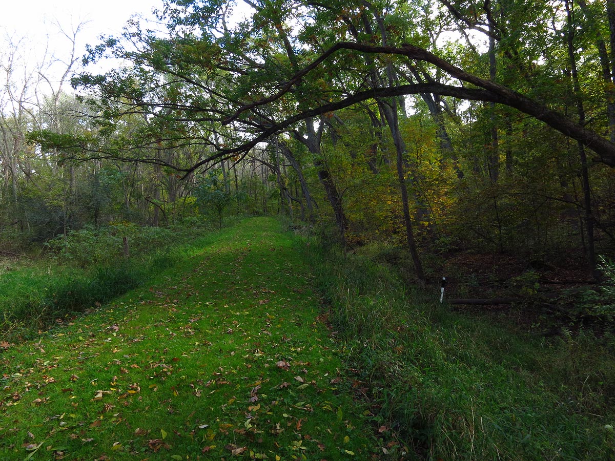 Bristol Woods County Park hiking trail, Bristol, Wisconsin