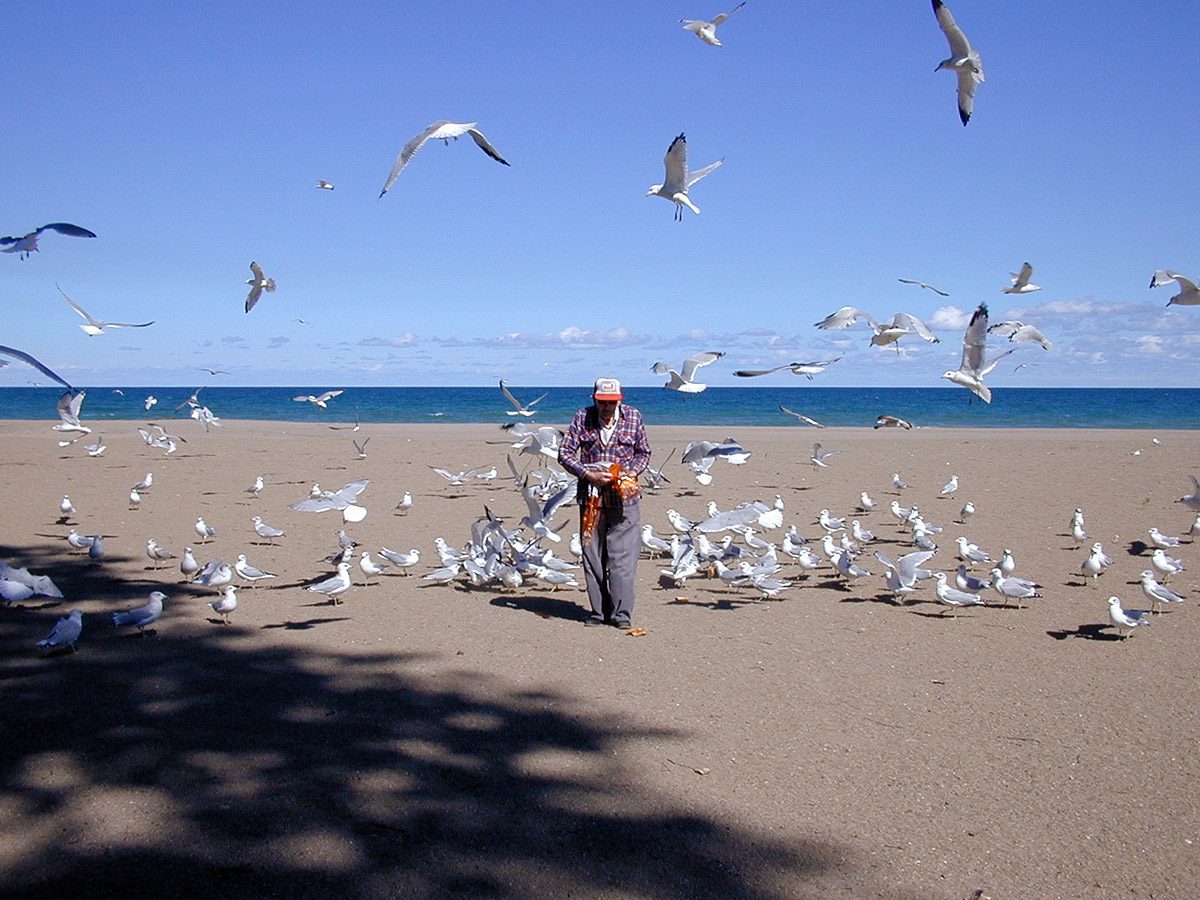 Man feeding Lake Michigan gulls , Kenosha, Wisconsin