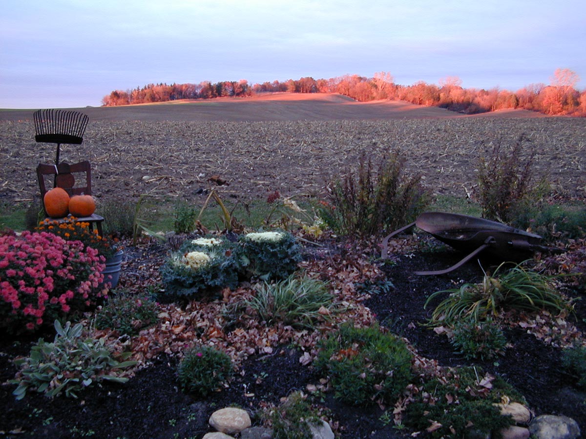Garden at Elderbrook Farm, Burlington Wisconsin, at sunset