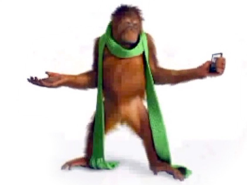 Robitussin orangutan Suryia with Droid X smartphone