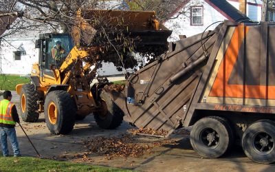 Leaf collection? Mulch leaves into lawn, garden beds