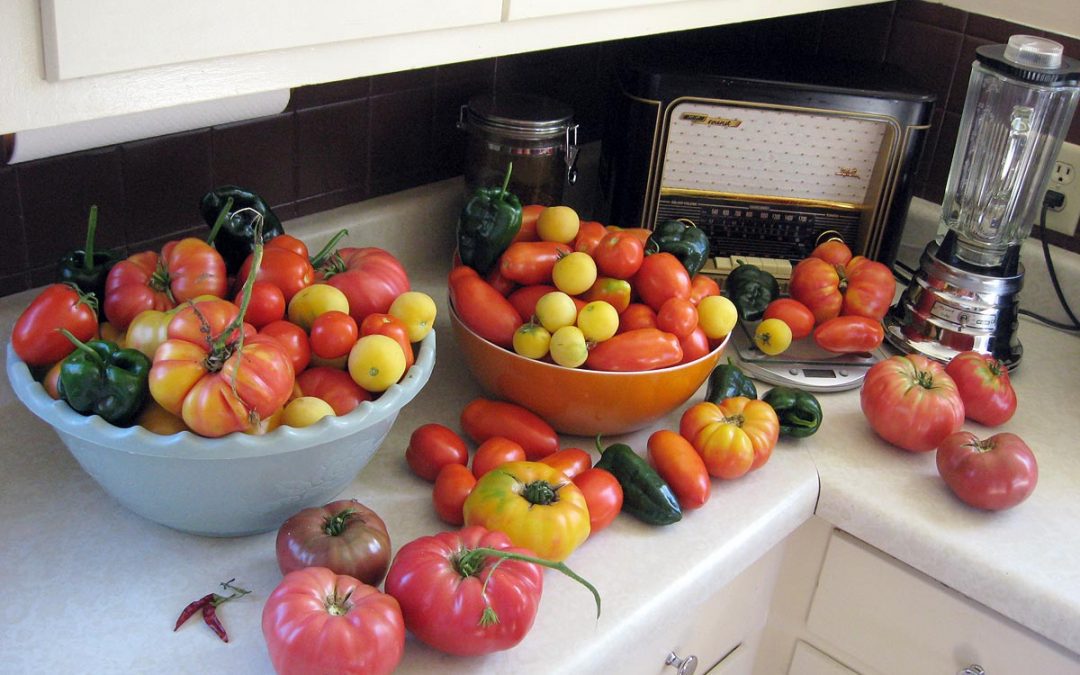 Heirloom tomatoes, Roma tomatoes, and poblano peppers from backyard tomato garden, Racine, Wisconsin