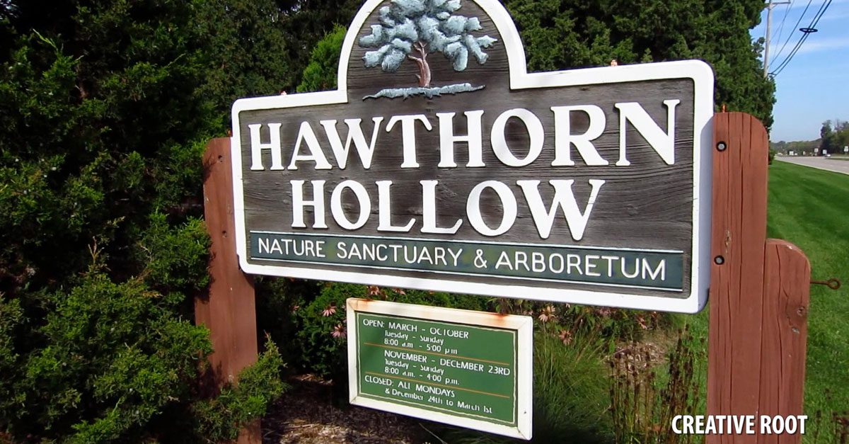Hawthorn Hollow Nayure Sanctuary and Arboretum, Kenosha, Wisconsin
