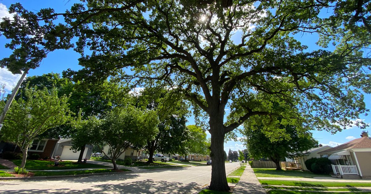 The 2200 block of Dwight St. in Racine, Wisconsin, June 2025