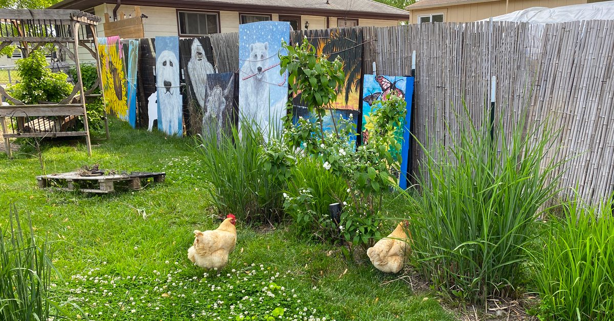 Chickens and paintings in a Racine, Wisconsin side yard.