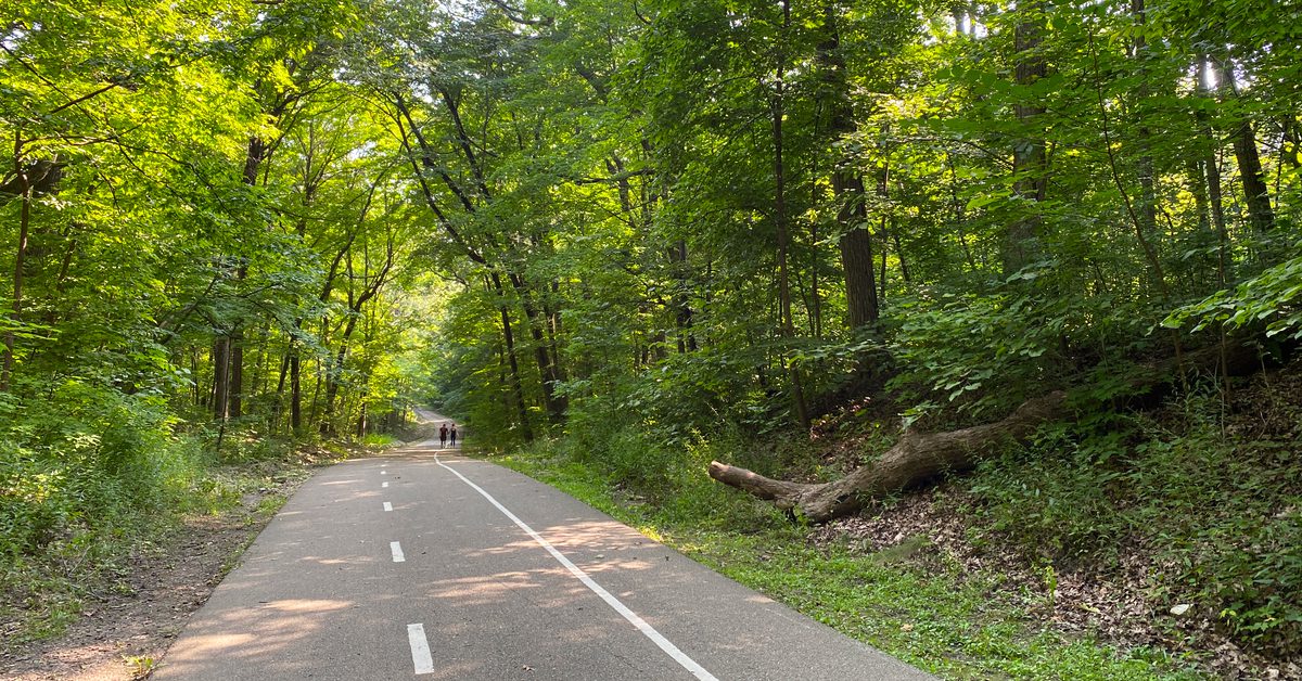 Paved trail through woods at Petrifying Springs Park in Kenosha, Wisconsin