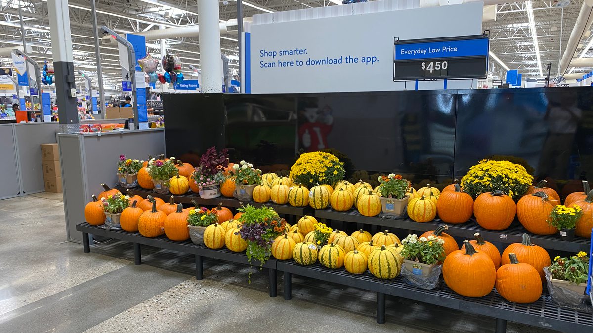 September 2025 display of pumpkins and mums at Walmart in Racine, Wisconsin.