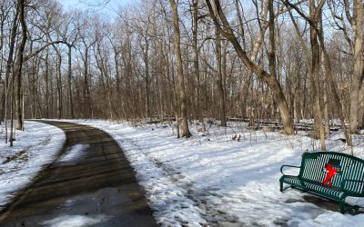 Another Week: Number 157