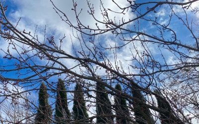 Another Week: Number 171